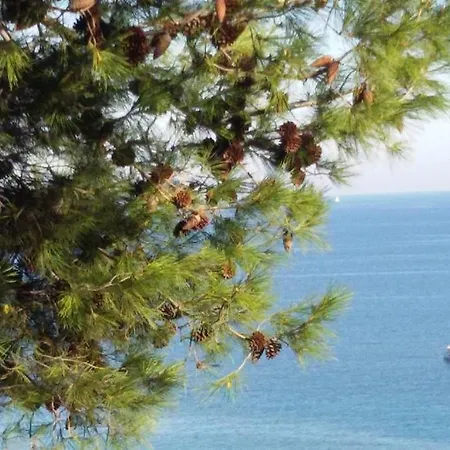 Casa Amarcord Vintage Con Vista Mare Apartment Sanremo
